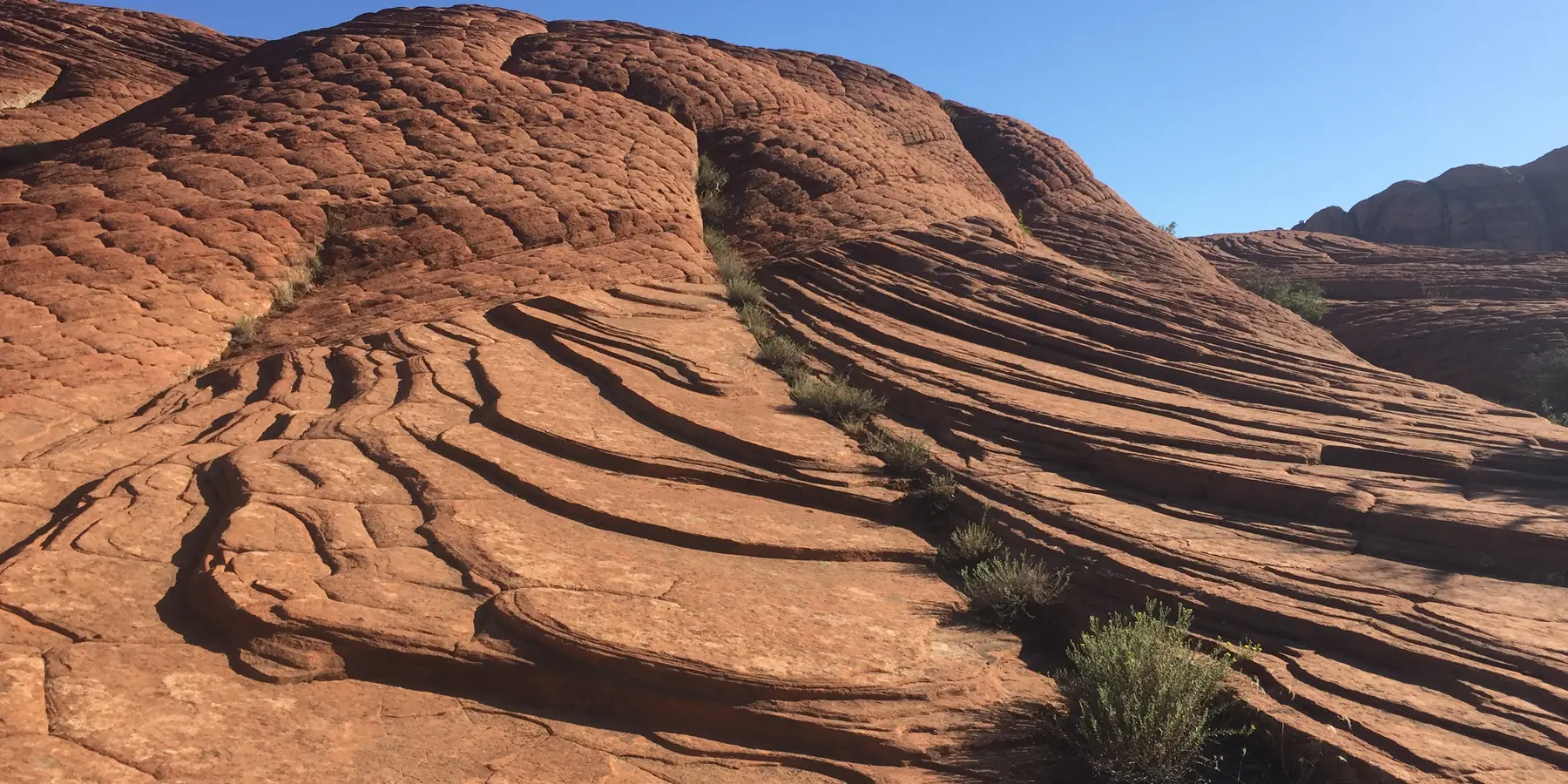 Cross-bedded red and white slickrock on the Petrified Dunes, Snow Canyon State Park.