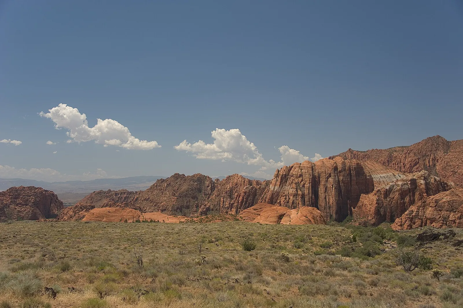 Red sandstone cliffs rising over desert shrubs in Snow Canyon State Park.