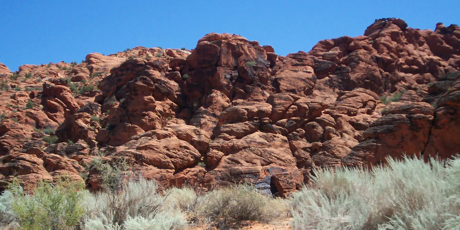 Lumpy red sandstone formations above pale sagebrush in Snow Canyon State Park.