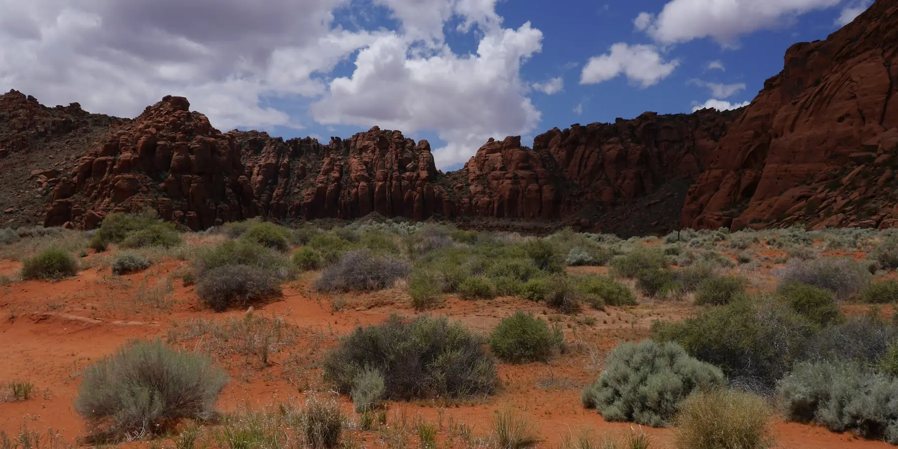 Red sand, green desert shrubs, and red cliffs under puffy white clouds in Snow Canyon State Park.