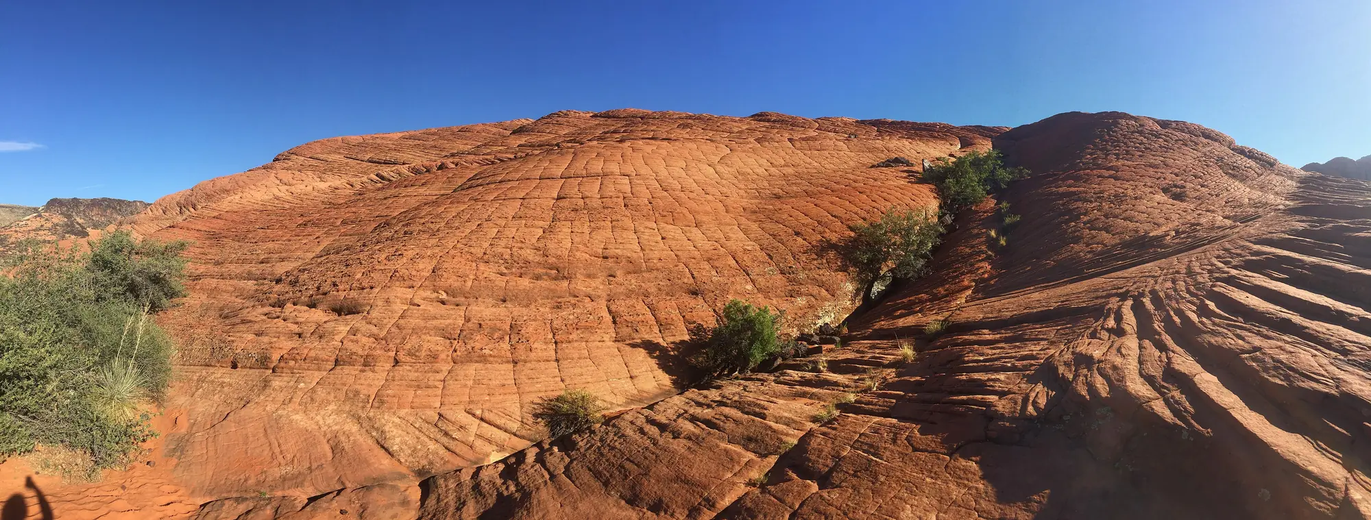 Panorama of swirling red cross-bedded Navajo Sandstone slickrock in Snow Canyon State Park.