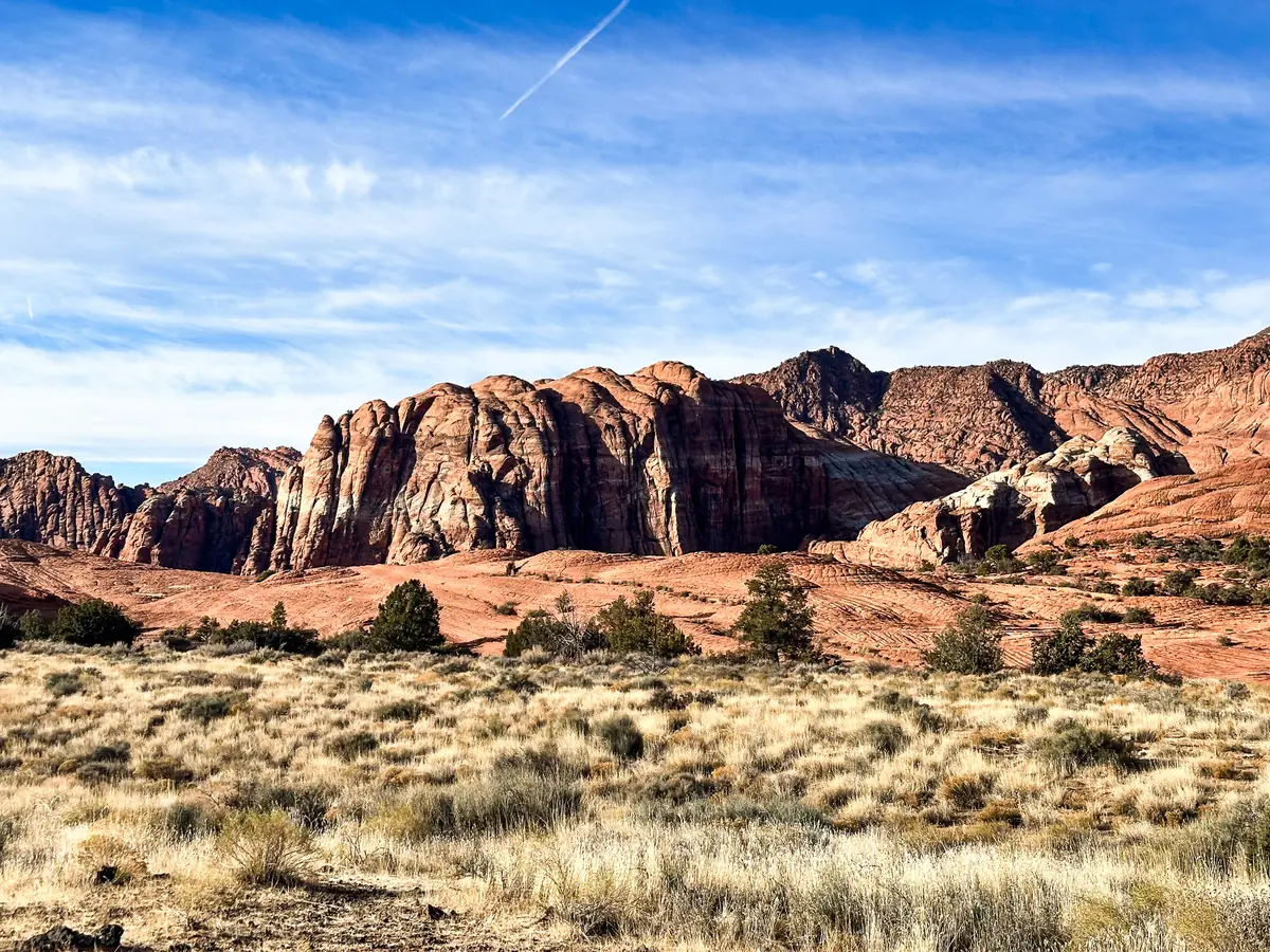 Golden winter grass below banded red and white sandstone cliffs on a December morning, Snow Canyon State Park.